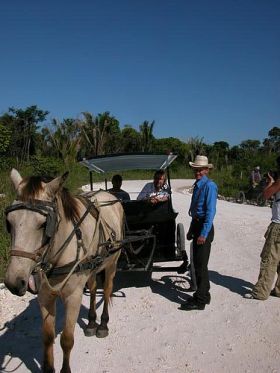 Menonite farmers in Belize – Best Places In The World To Retire – International Living